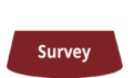 icon_survey